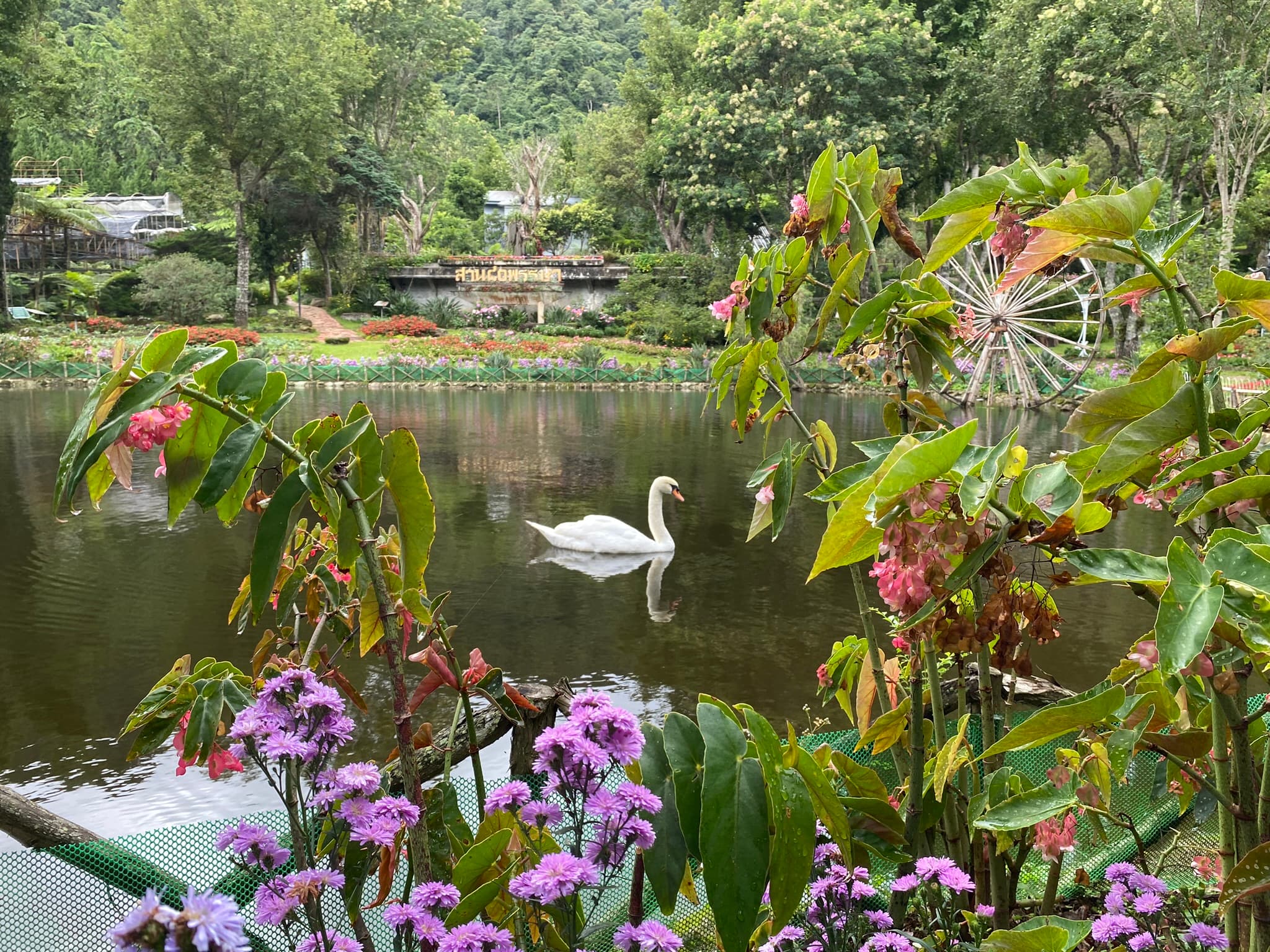 ¿Y, si te escribo…?