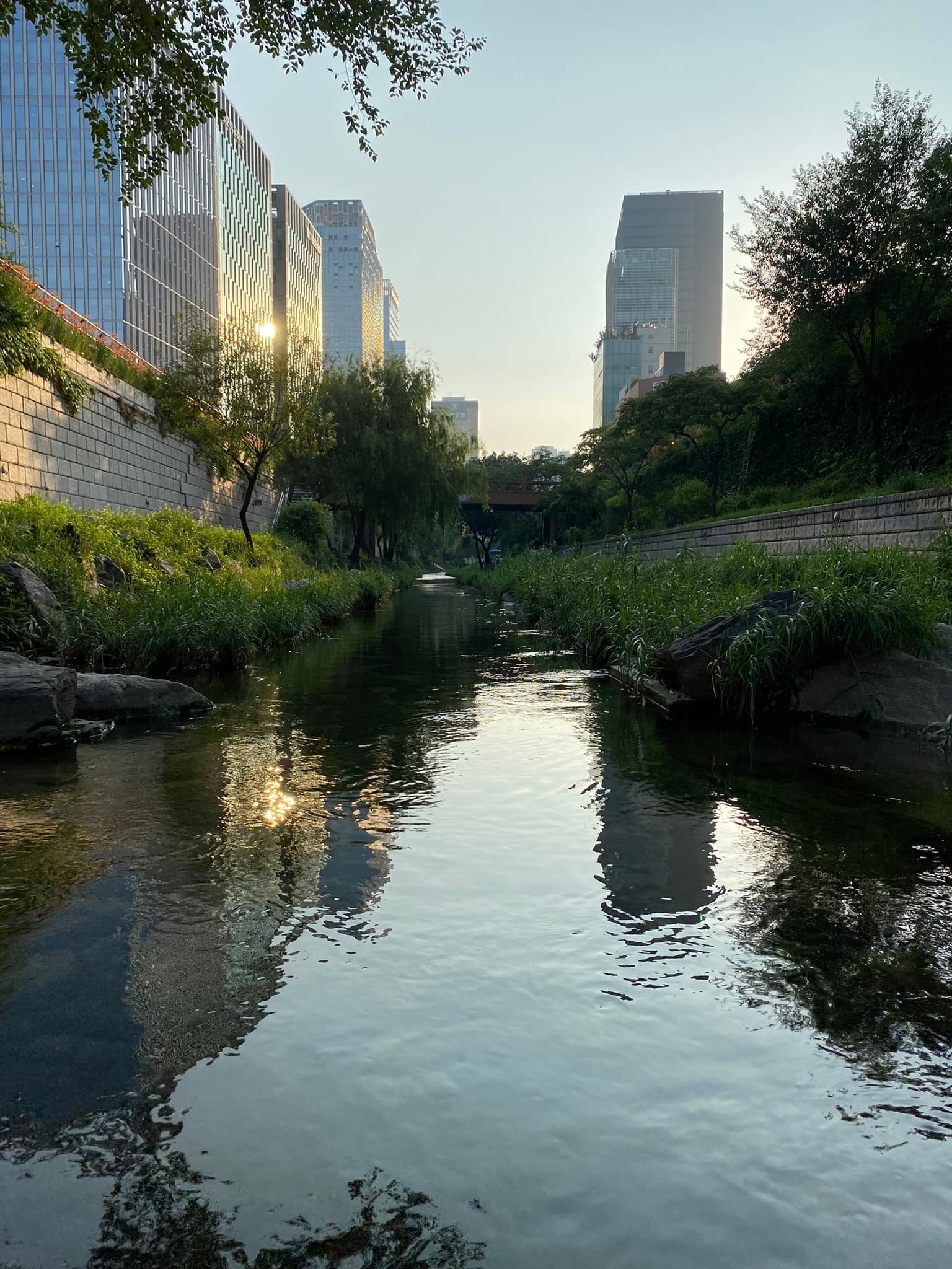 ¿Quién te invitó?